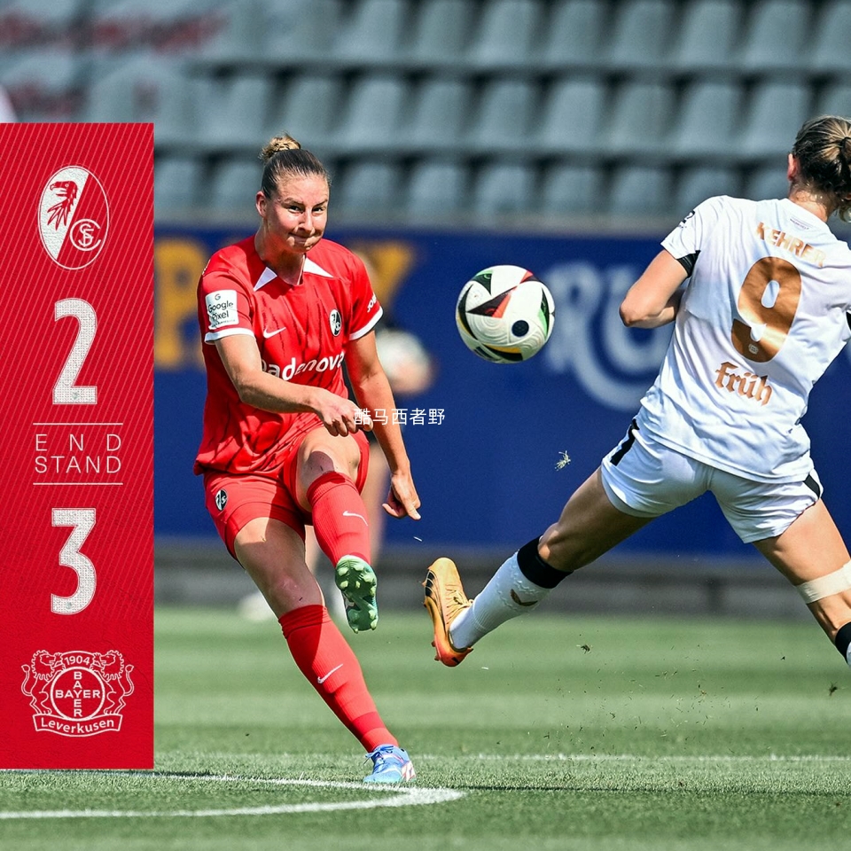 勒沃库森队员技术过人战胜对手的简单介绍